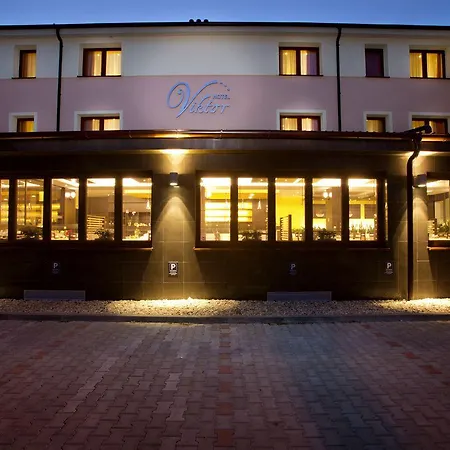Viktor Hotel 3*